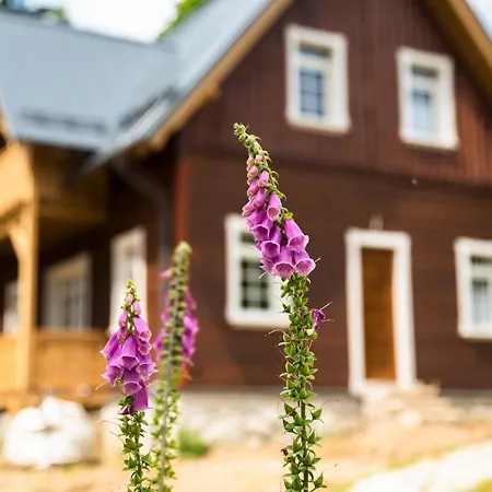 Domek alpejski Milkowa Dolina